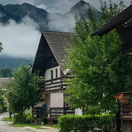 Kolman Bohinj