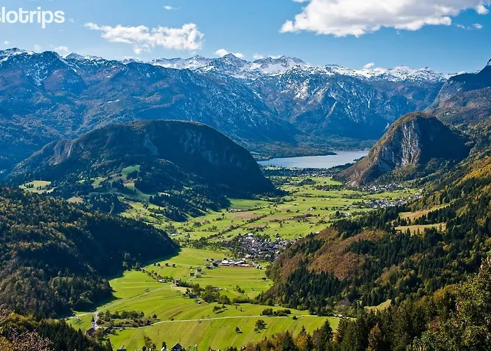 Kolman Nastanitev v družini Bohinj